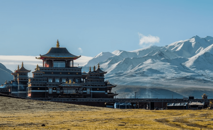 蒙古国海关数据查询平台（附免费试用查询平台）